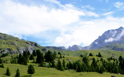 Switzerland 33