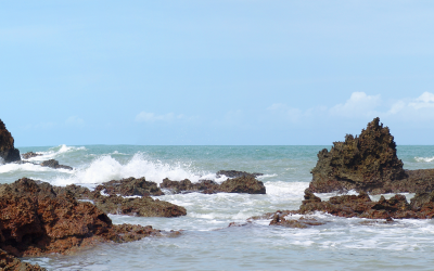 BRASILE 2