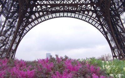 Paris: Vier neuen Amundi ETF